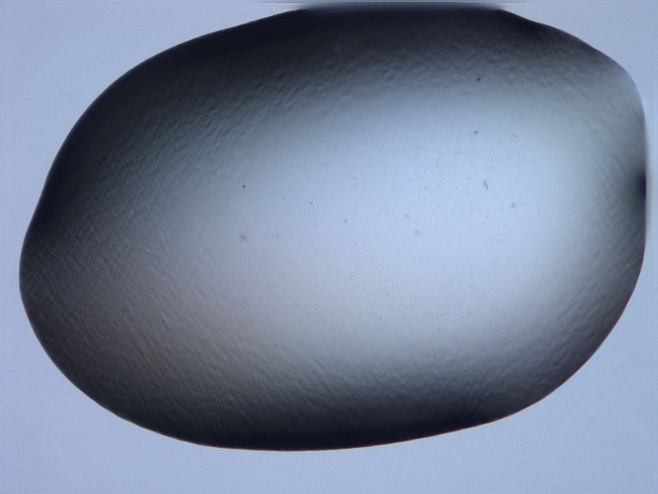 061i_E8_ImagerDefaults_0.jpg