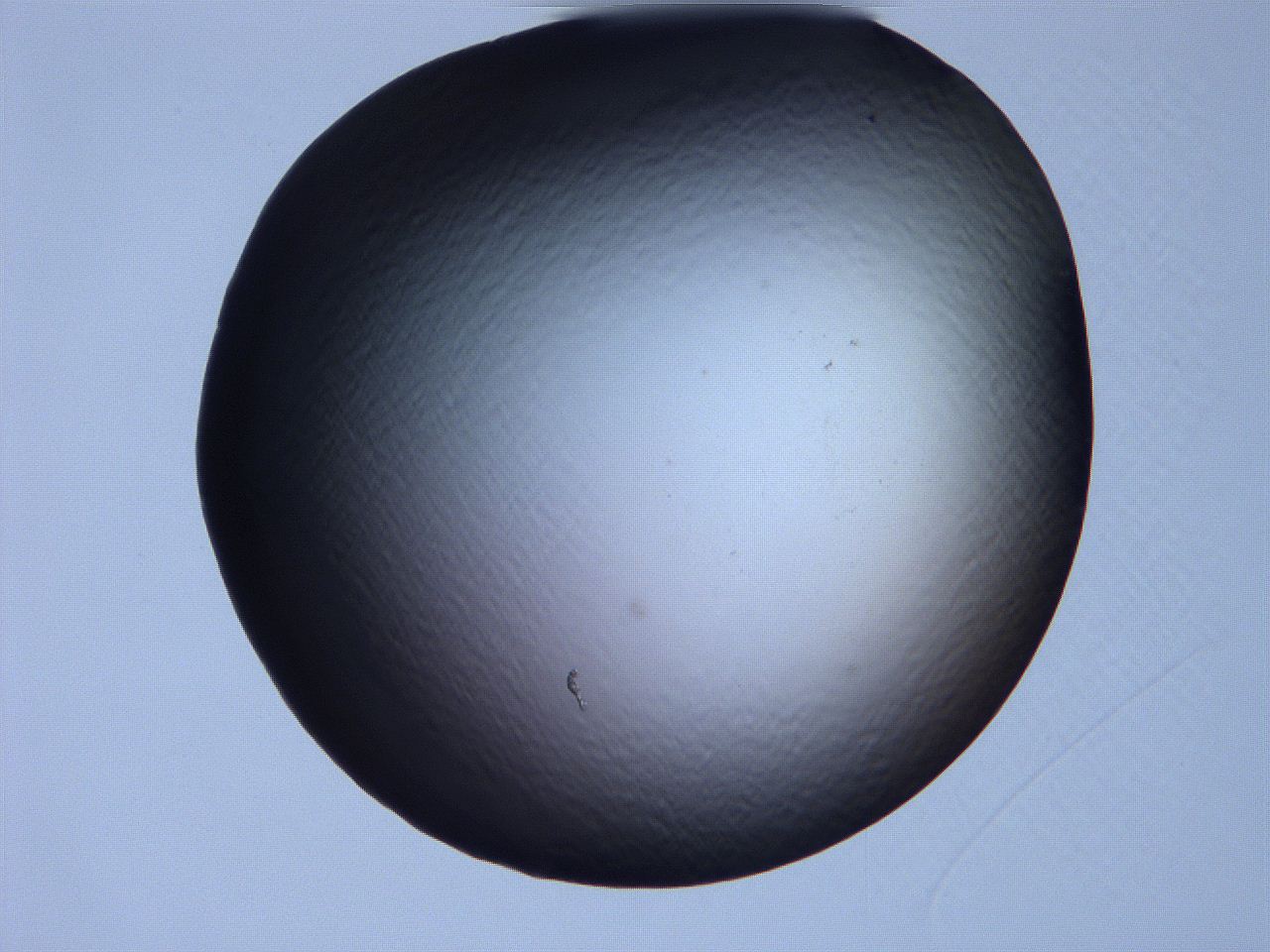 061i_E9_ImagerDefaults_0.jpg