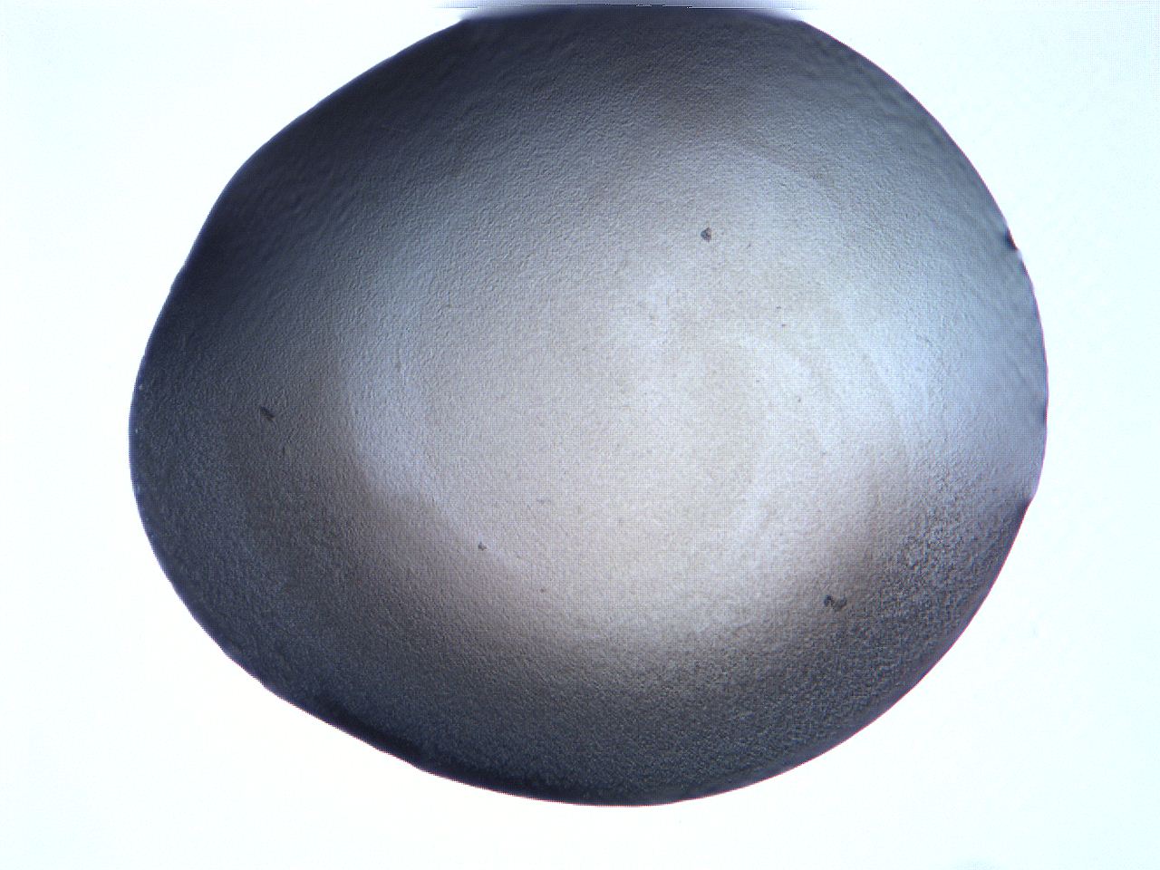 061i_E10_ImagerDefaults_3.jpg