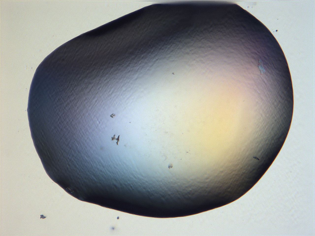 061i_E12_ImagerDefaults_0.jpg
