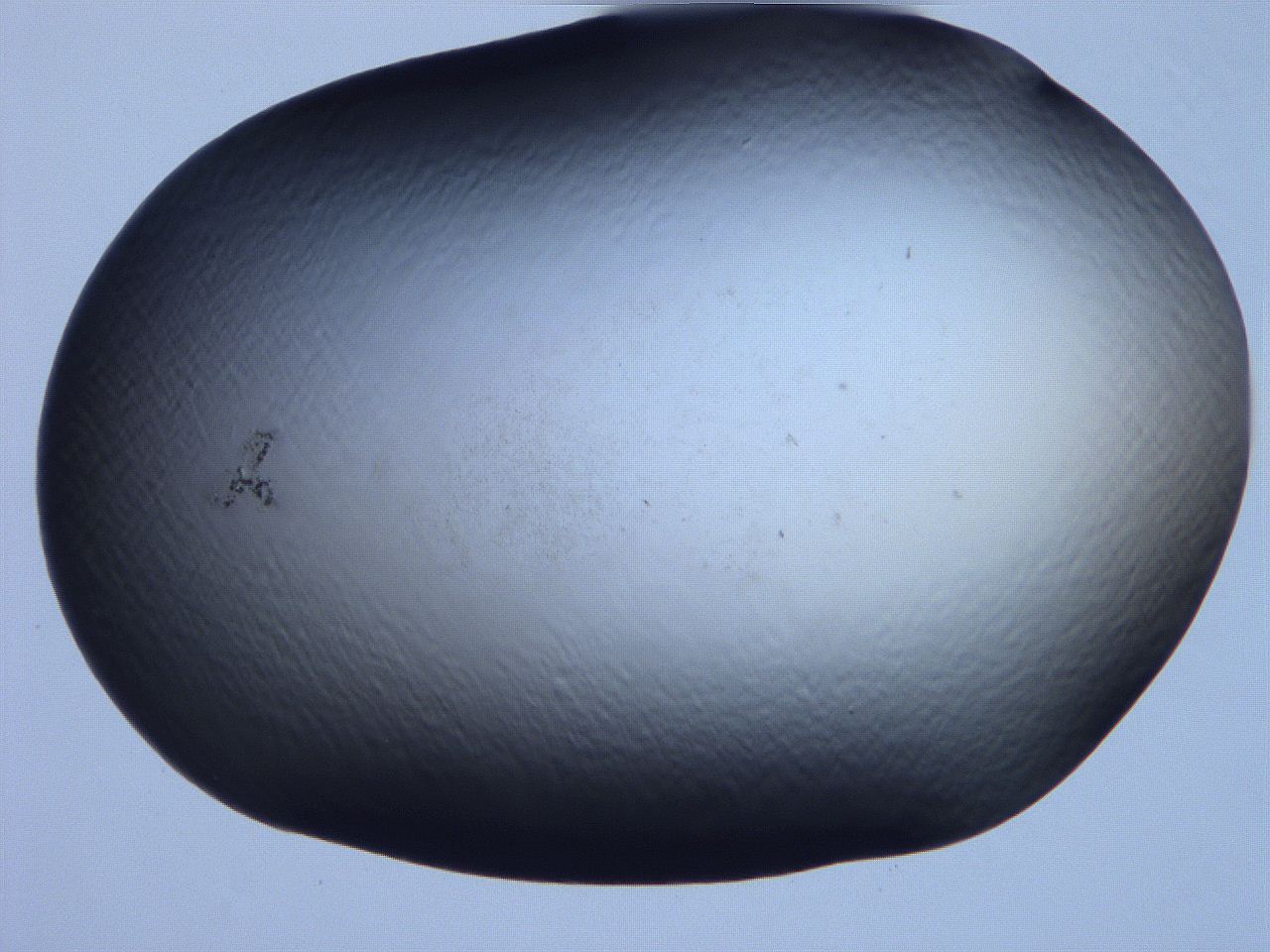 061i_F2_ImagerDefaults_0.jpg