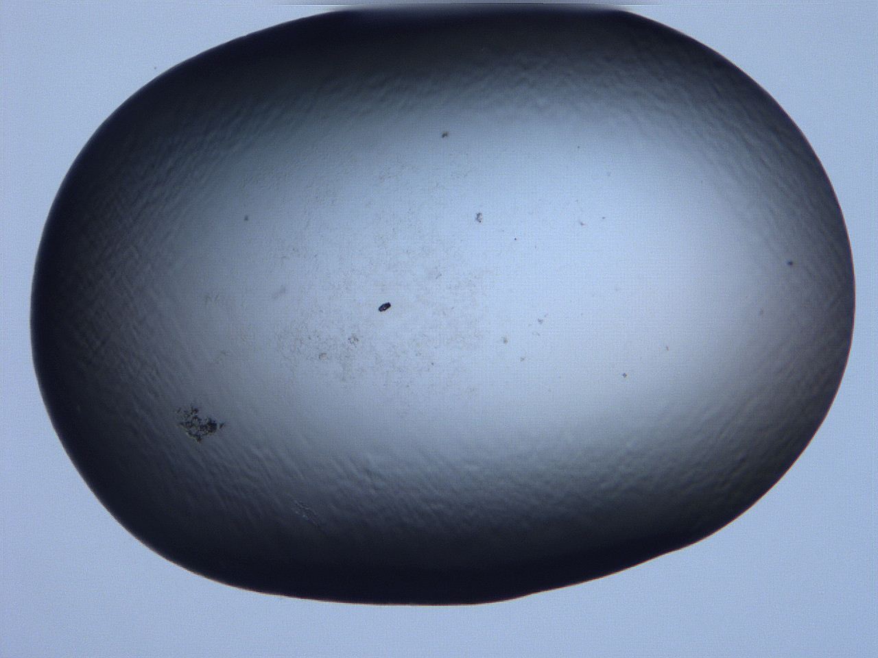 061i_F3_ImagerDefaults_0.jpg