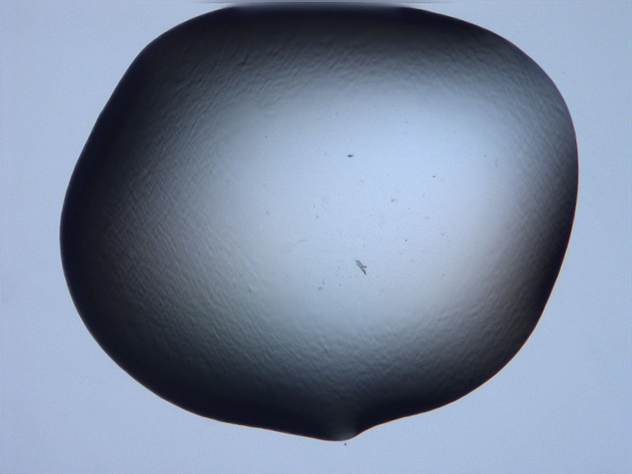 061i_F5_ImagerDefaults_0.jpg