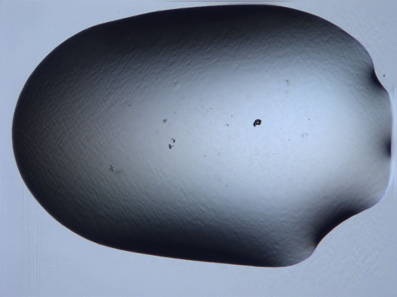 061i_F6_ImagerDefaults_0.jpg