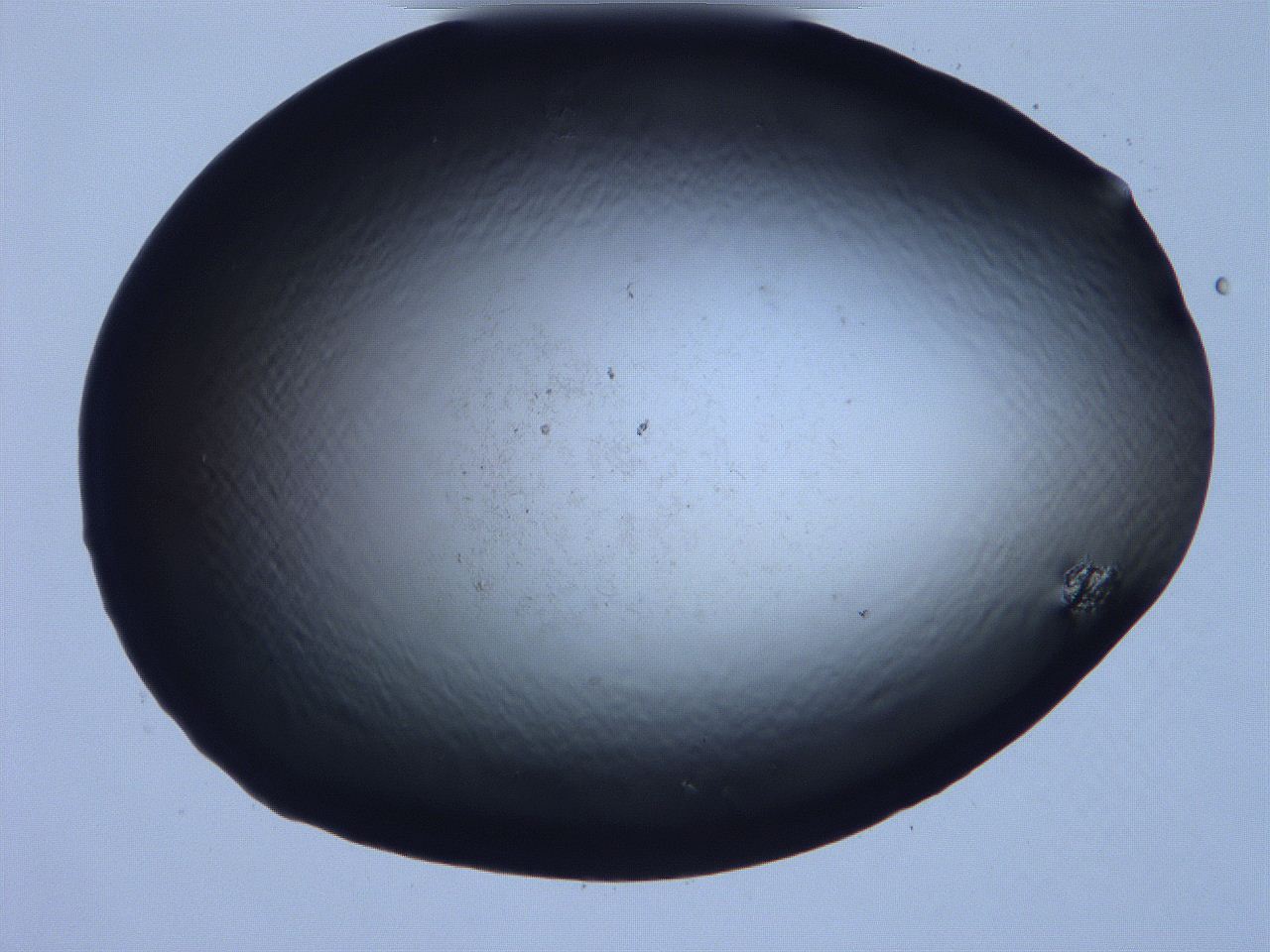 061i_F7_ImagerDefaults_0.jpg