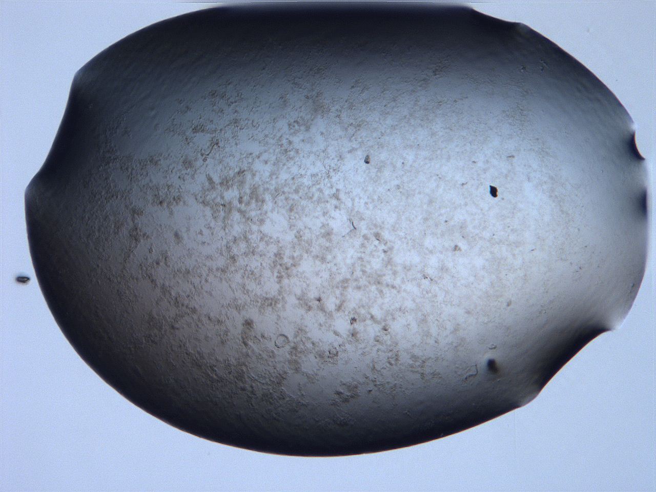 061i_F9_ImagerDefaults_3.jpg