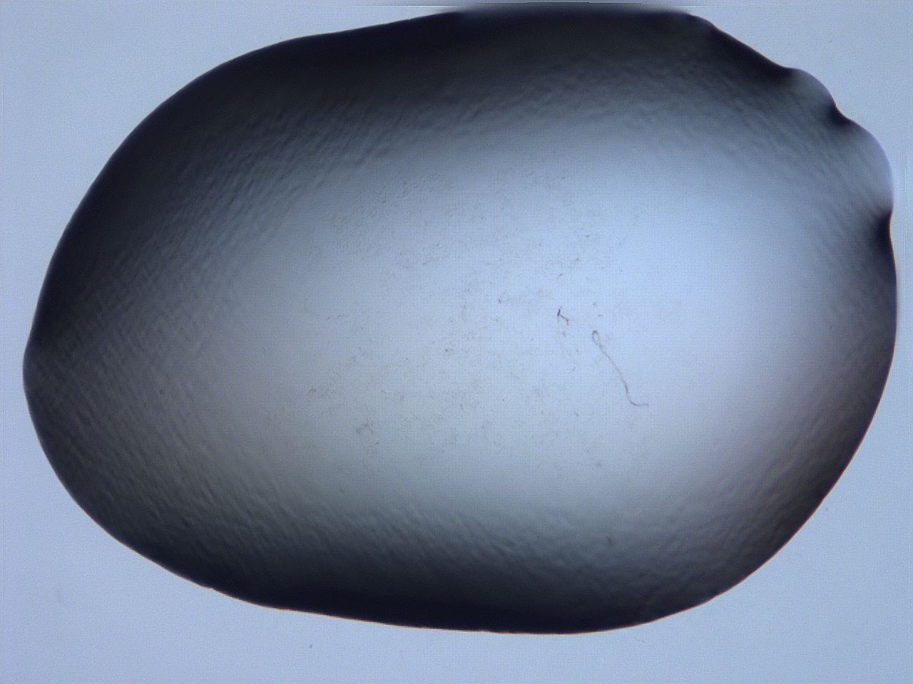 061i_F10_ImagerDefaults_0.jpg