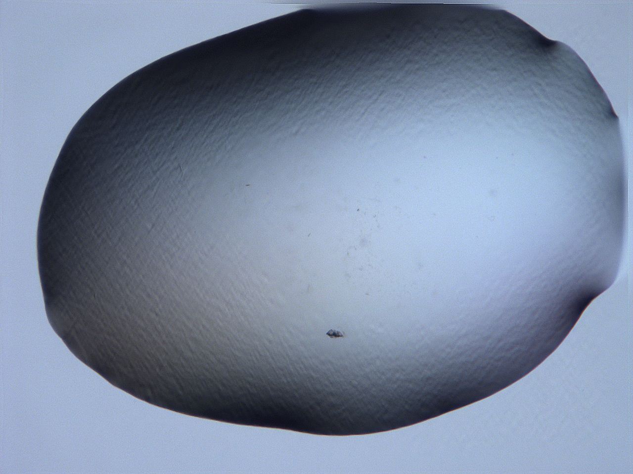 061i_F11_ImagerDefaults_0.jpg