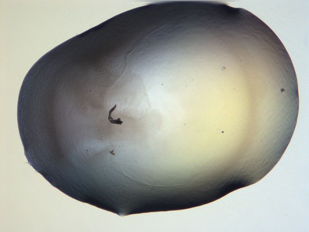 061i_F12_ImagerDefaults_3.jpg