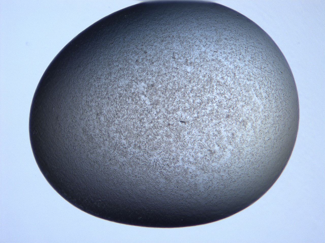 061i_G4_ImagerDefaults_3.jpg