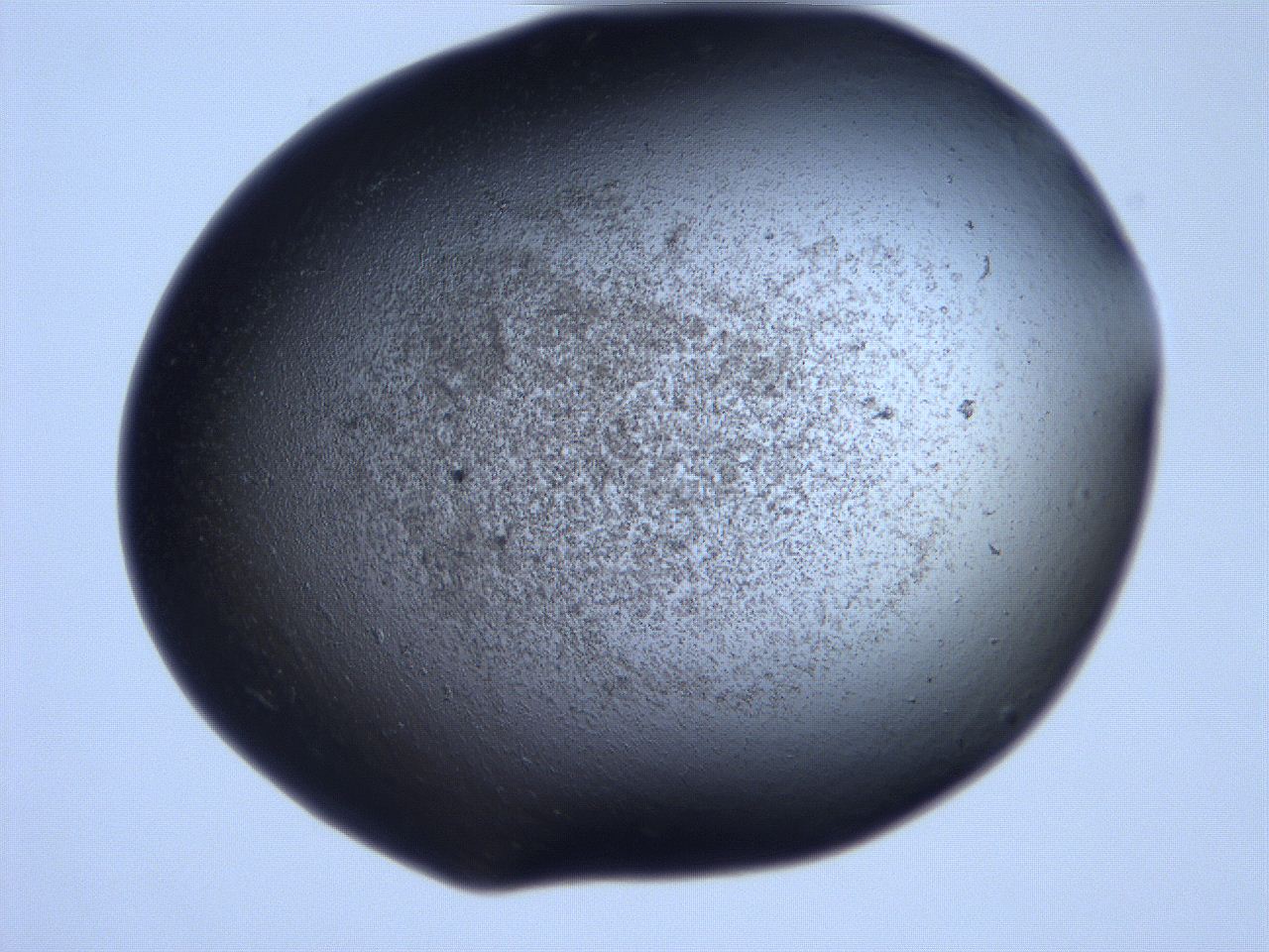 061i_G5_ImagerDefaults_3.jpg