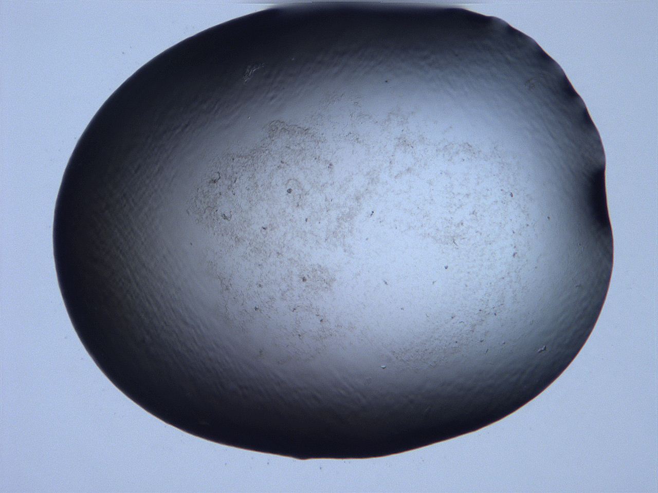 061i_G7_ImagerDefaults_3.jpg