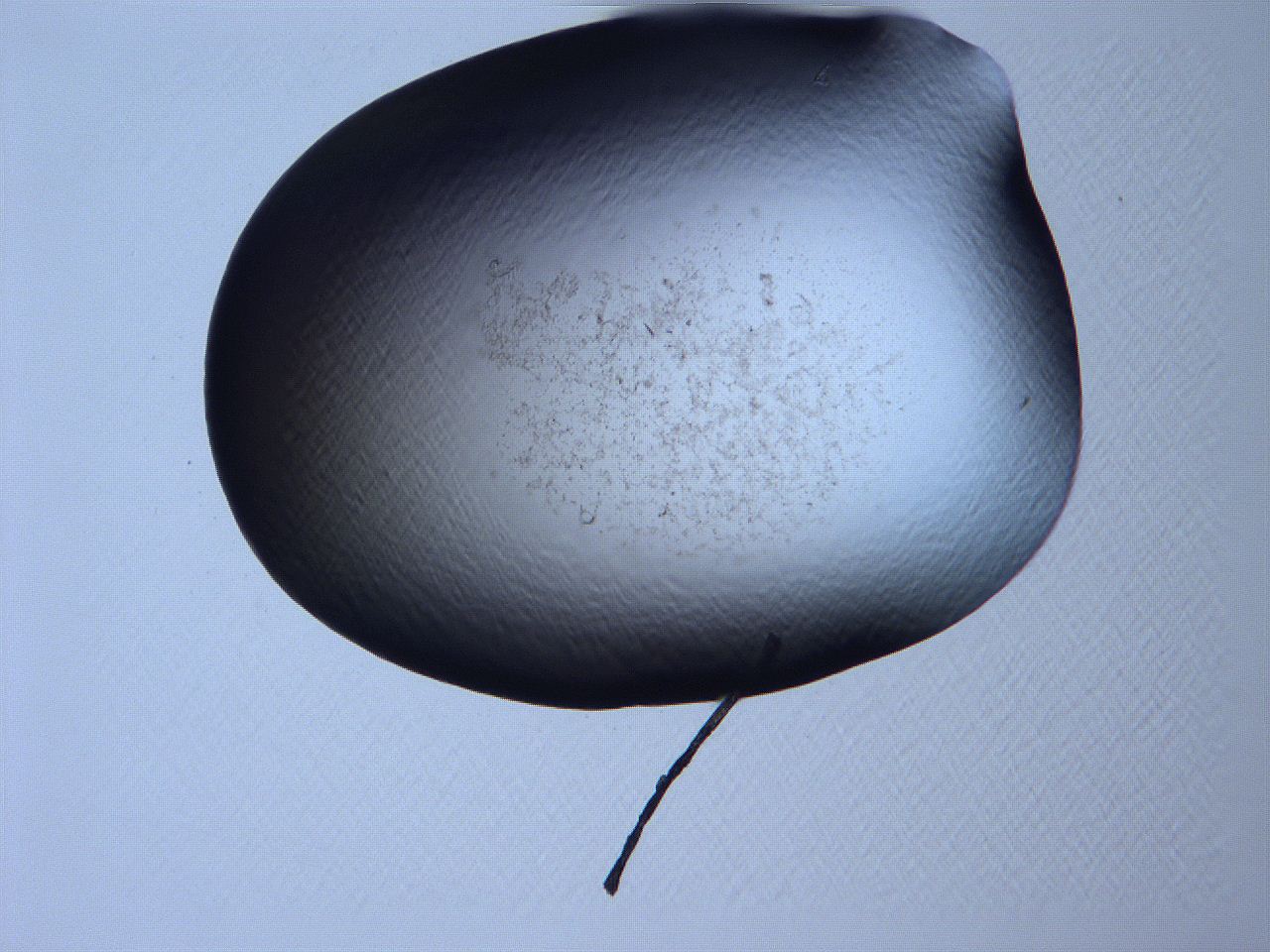 061i_G8_ImagerDefaults_3.jpg