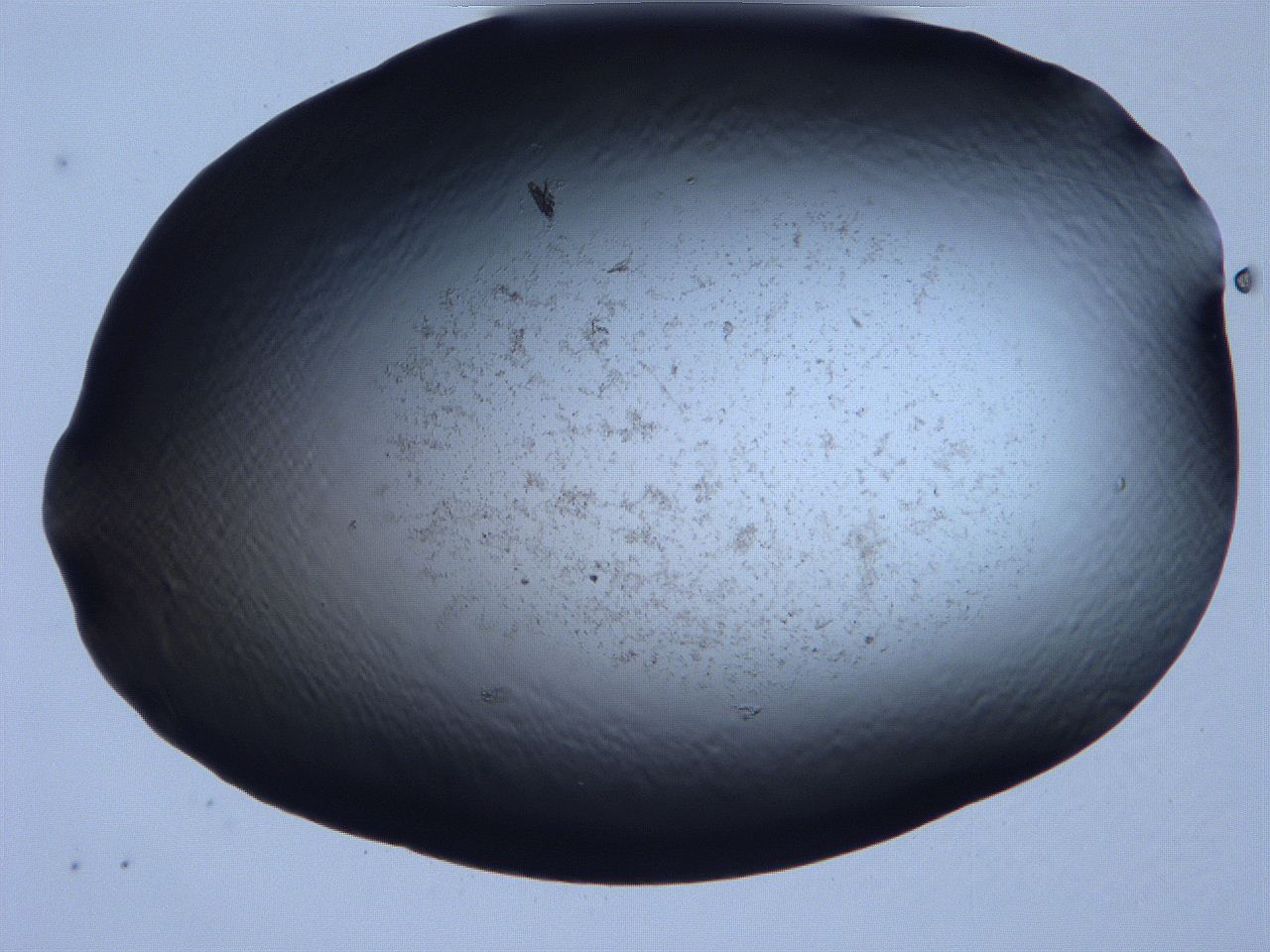 061i_G9_ImagerDefaults_3.jpg