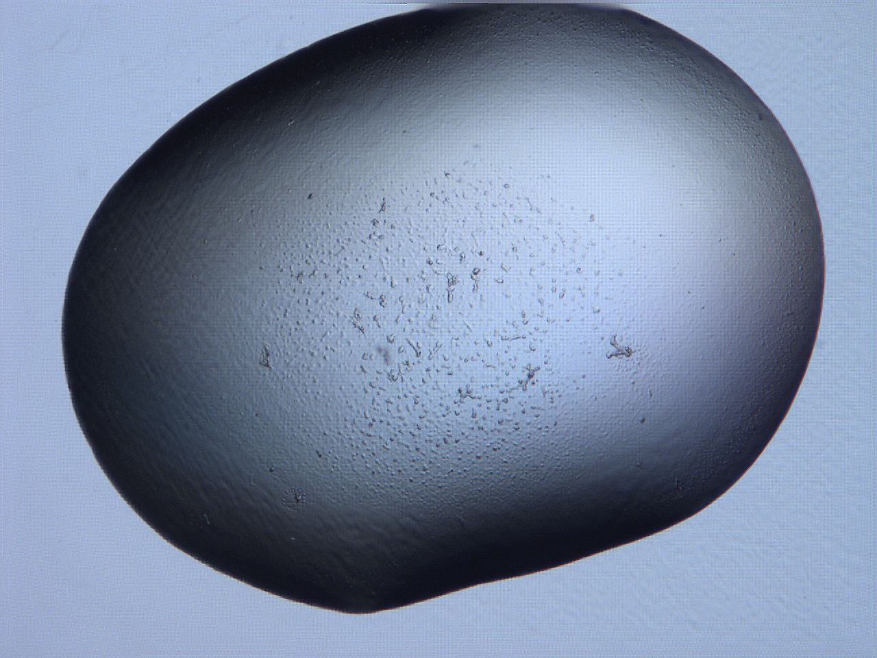 061i_H3_ImagerDefaults_3.jpg