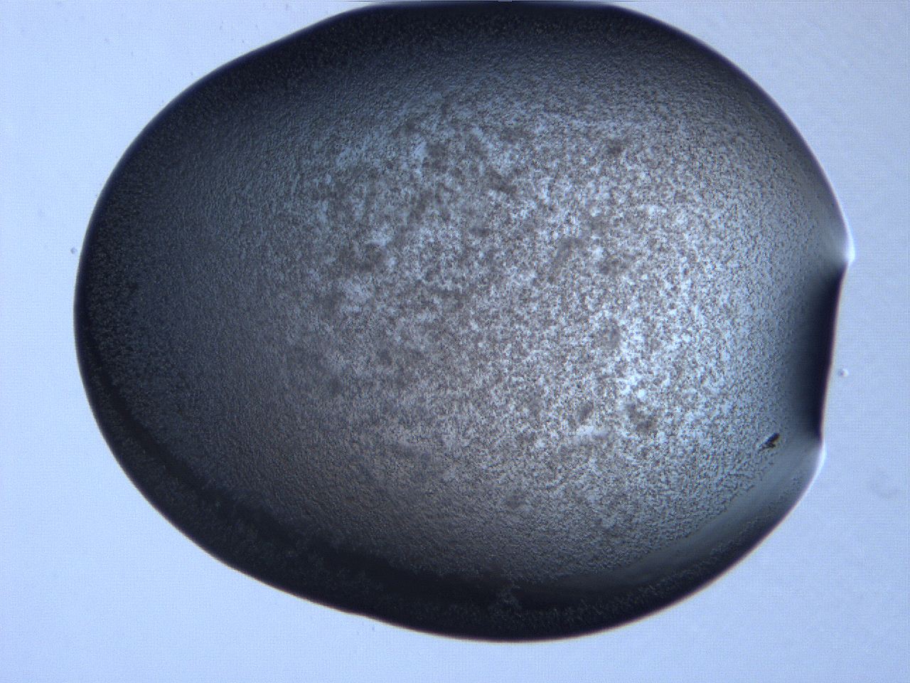 061i_H4_ImagerDefaults_3.jpg