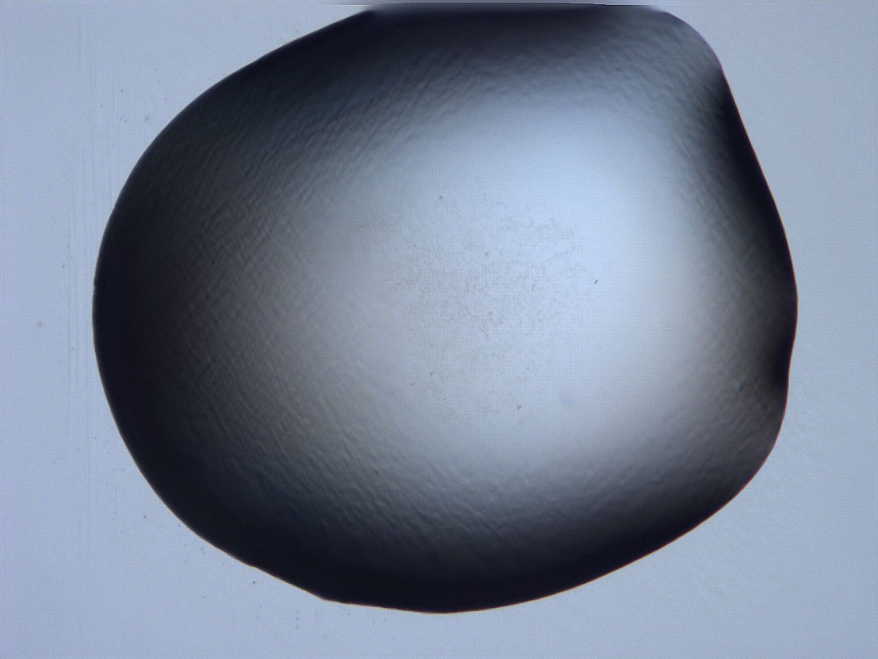 061i_H6_ImagerDefaults_0.jpg