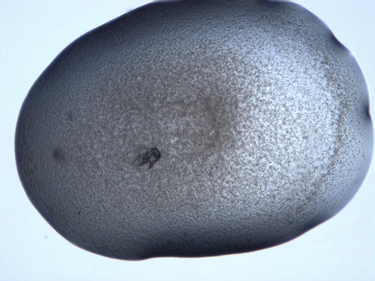 061i_H10_ImagerDefaults_3.jpg