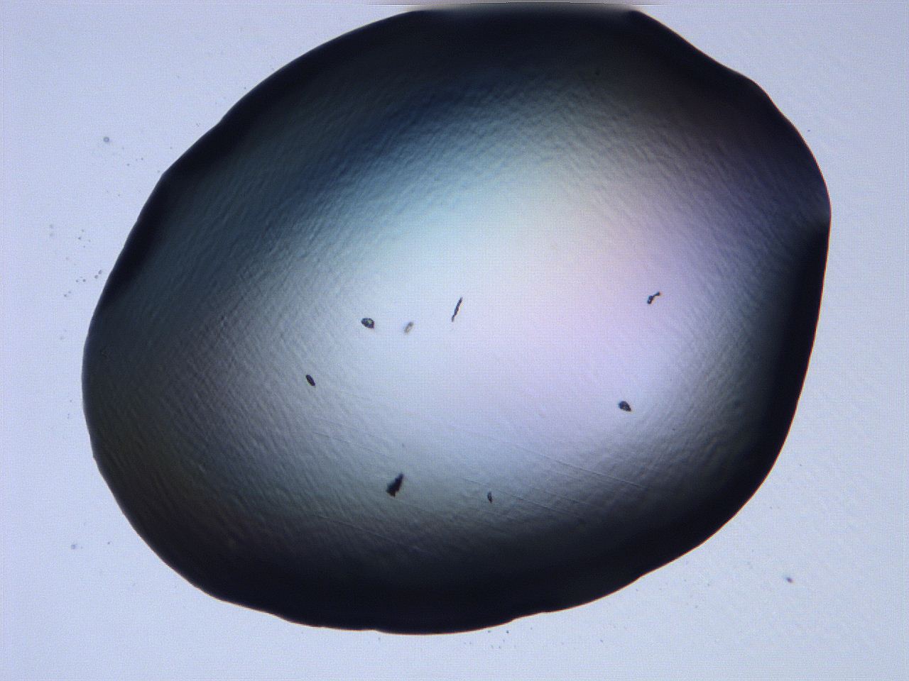 061i_H12_ImagerDefaults_0.jpg