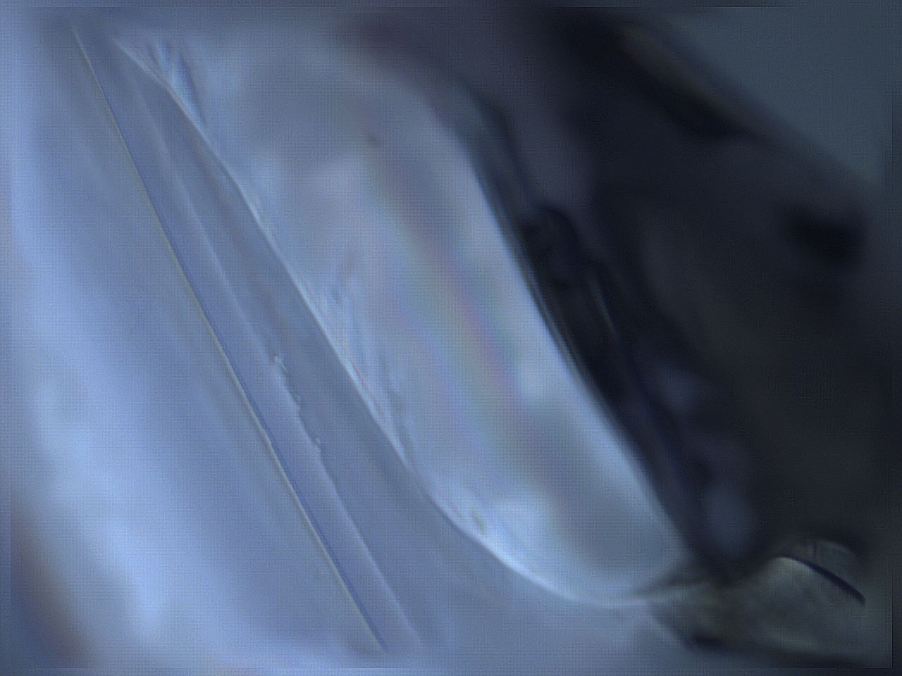 061k_A11_ImagerDefaults_9.jpg
