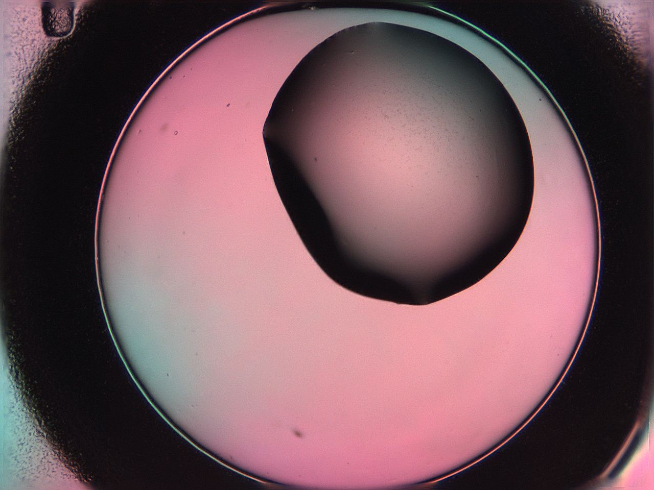 061o_C11_ImagerDefaults_0.jpg