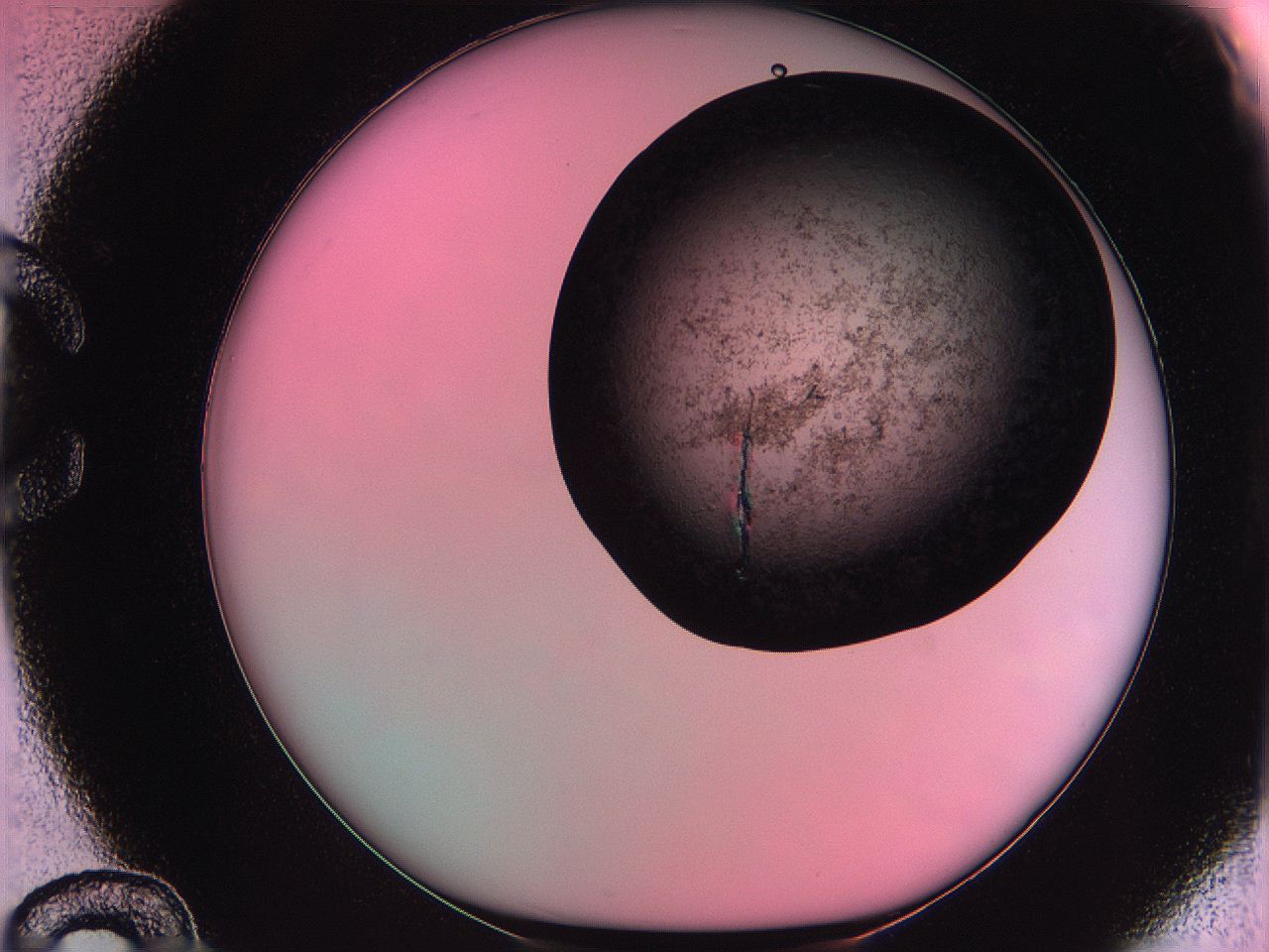 061o_C12_ImagerDefaults_3.jpg