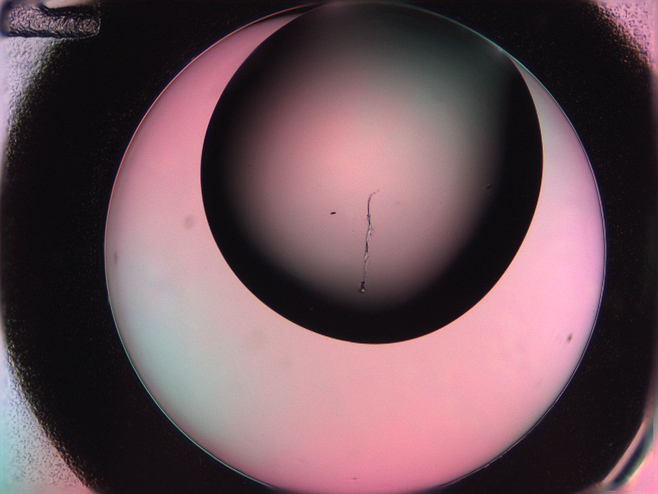 061o_C12_ImagerDefaults_0.jpg