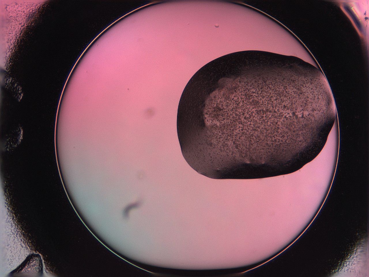 061o_C11_ImagerDefaults_3.jpg