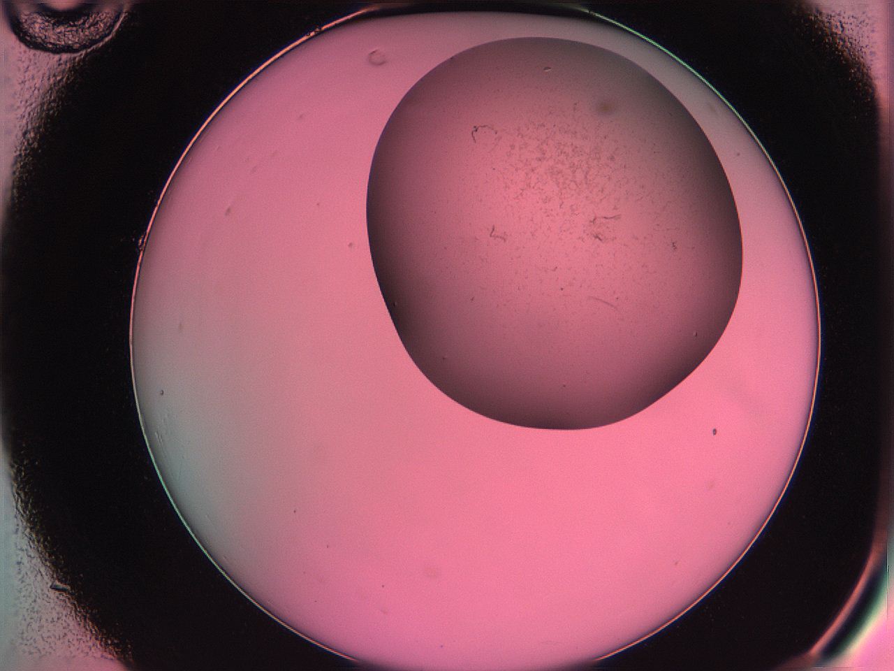 061o_C10_ImagerDefaults_3.jpg