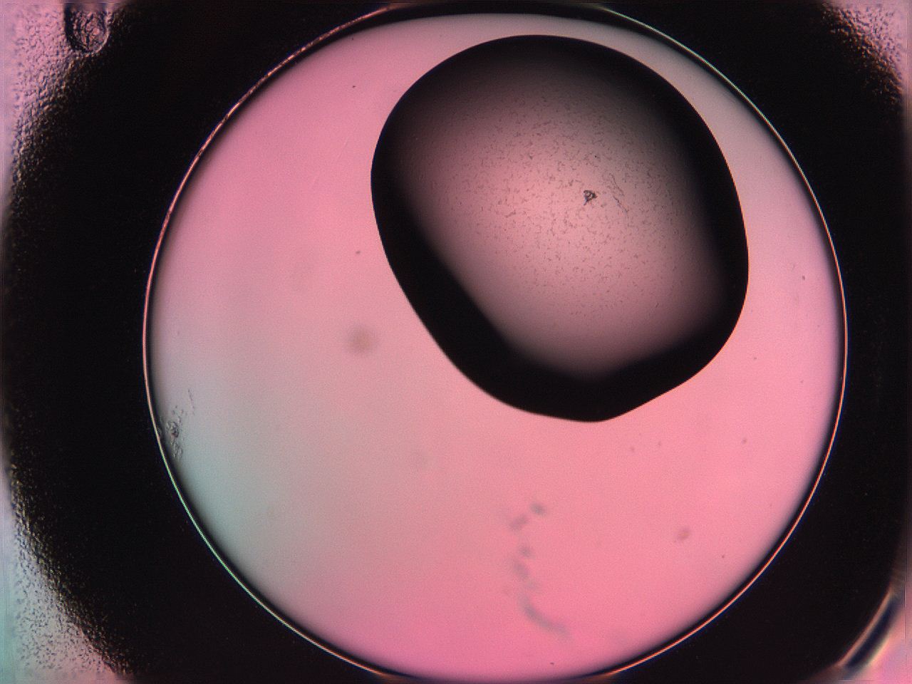 061o_A11_ImagerDefaults_3.jpg