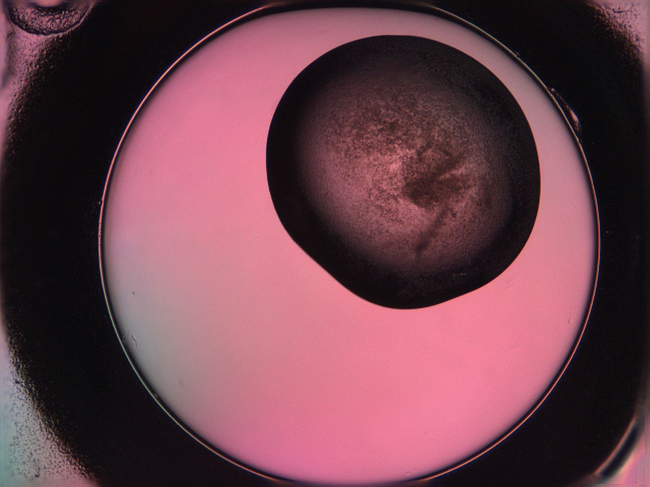 061o_A10_ImagerDefaults_3.jpg
