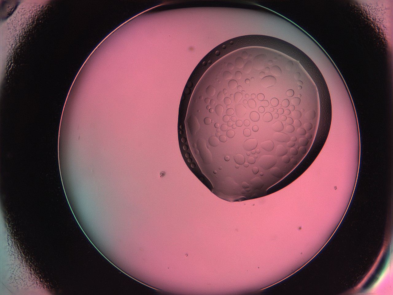 061o_C9_ImagerDefaults_5.jpg