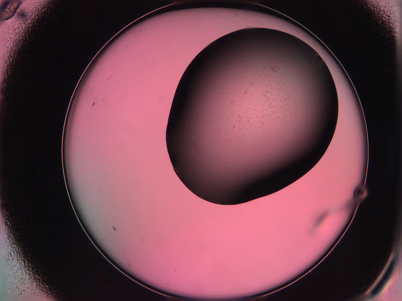 061o_A9_ImagerDefaults_0.jpg