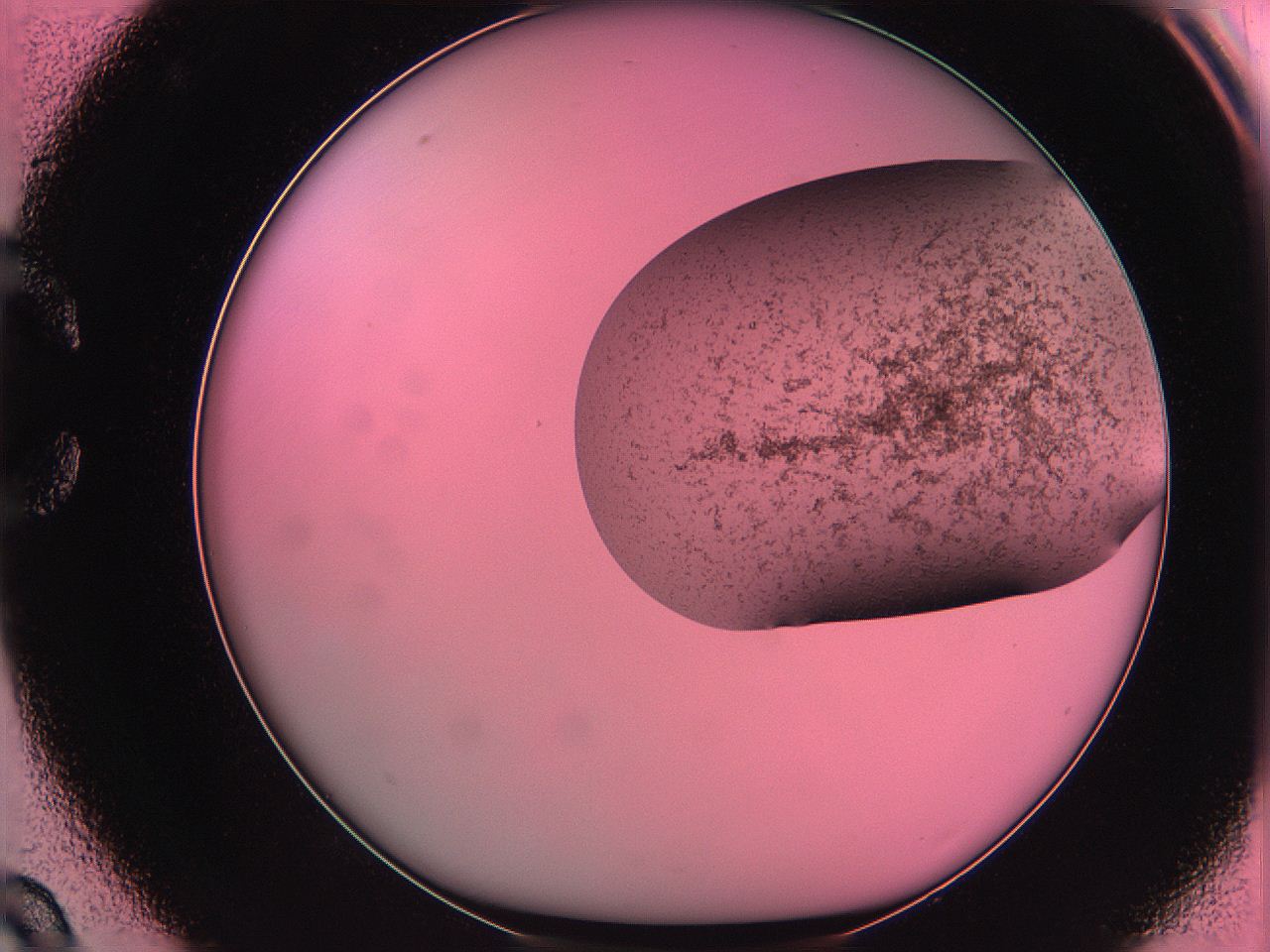 061o_C9_ImagerDefaults_3.jpg