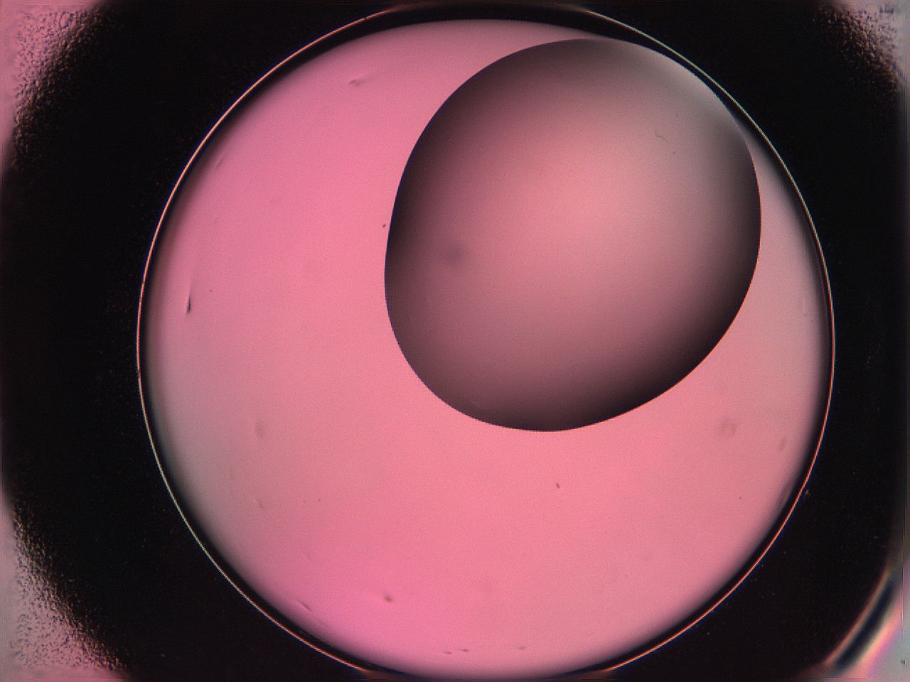 061o_A7_ImagerDefaults_0.jpg