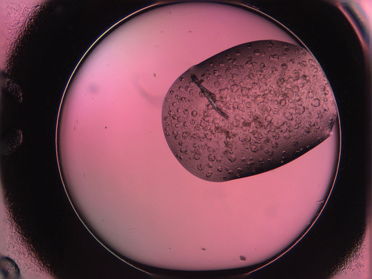 061o_C8_ImagerDefaults_3.jpg