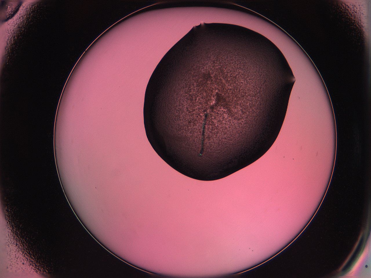 061o_A6_ImagerDefaults_3.jpg