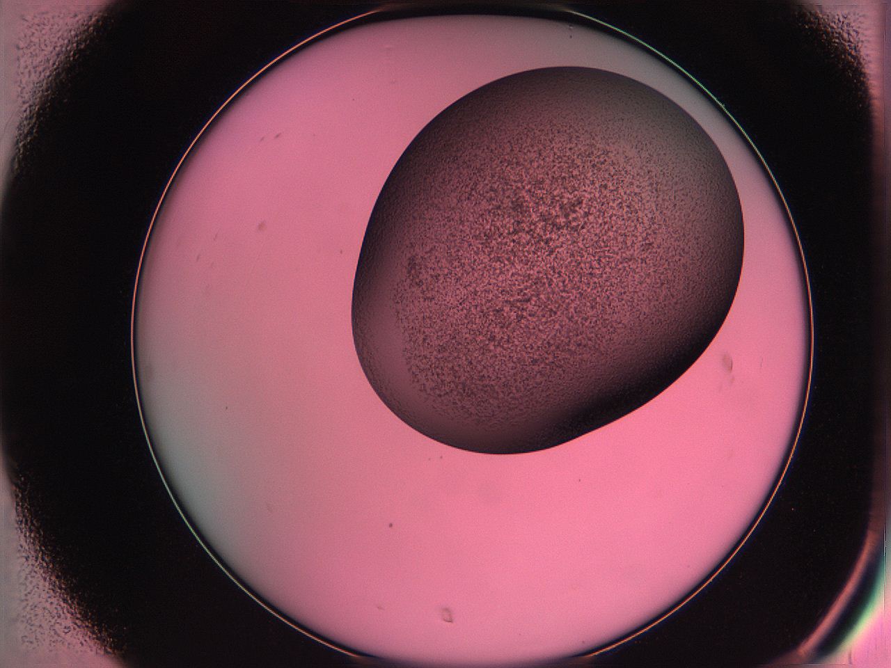 061o_C7_ImagerDefaults_3.jpg