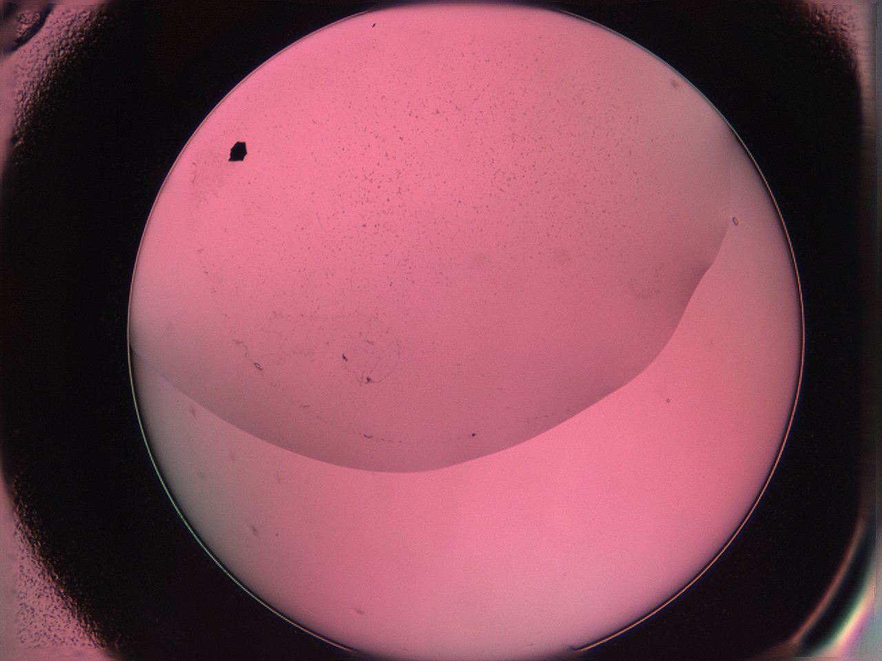 061o_A5_ImagerDefaults_0.jpg