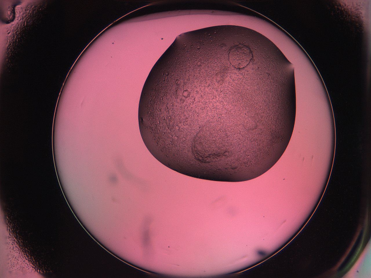 061o_A4_ImagerDefaults_5.jpg
