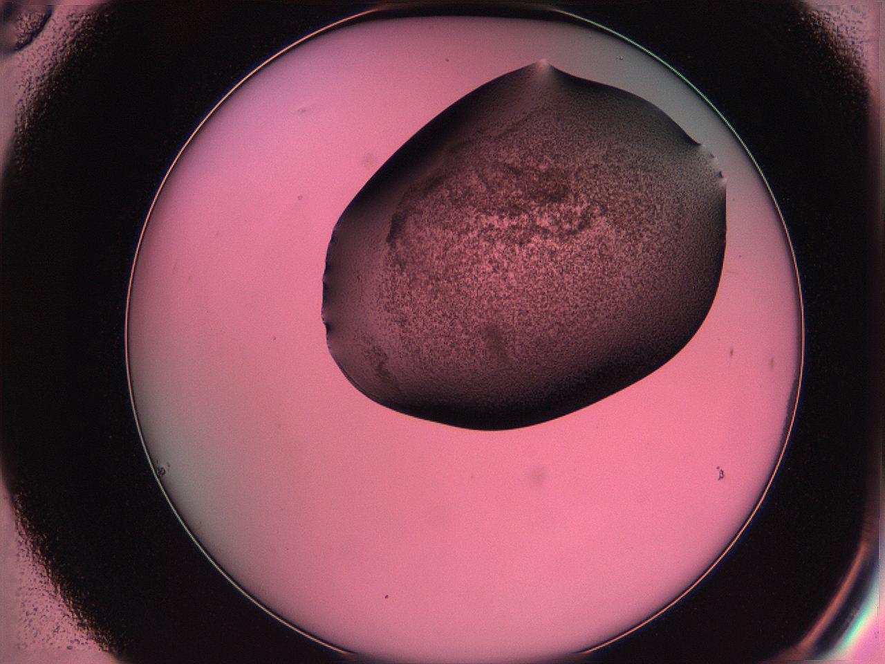061o_C6_ImagerDefaults_3.jpg