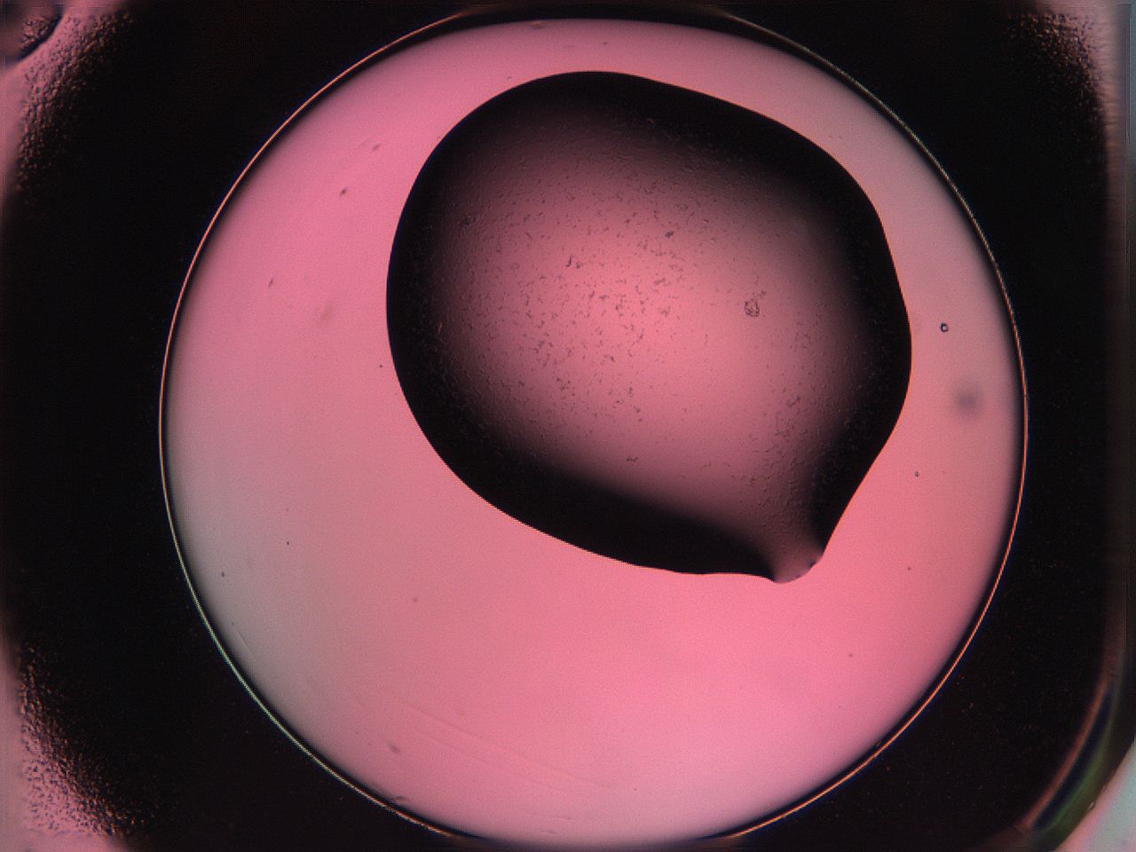 061o_A3_ImagerDefaults_0.jpg