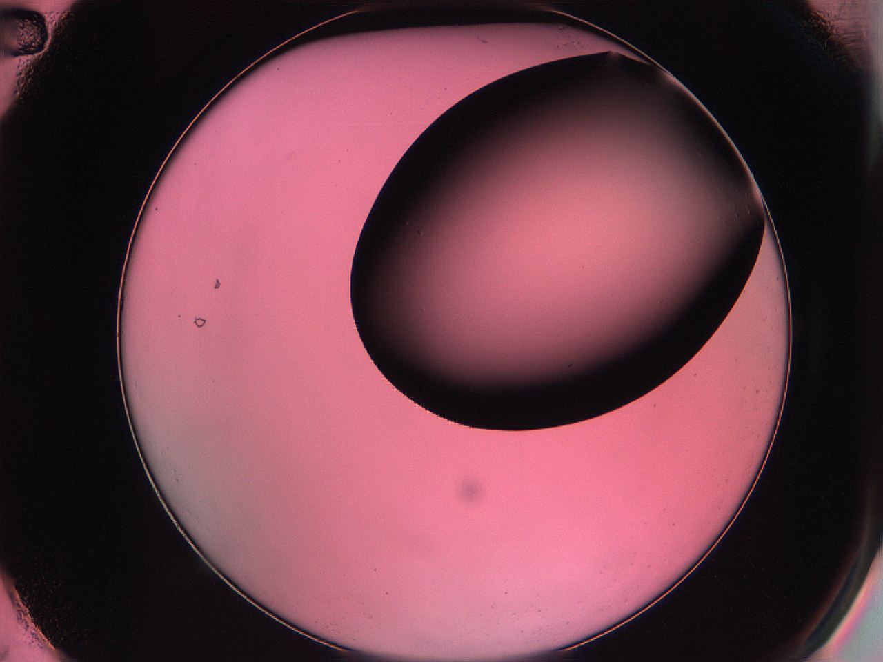 061o_A2_ImagerDefaults_0.jpg