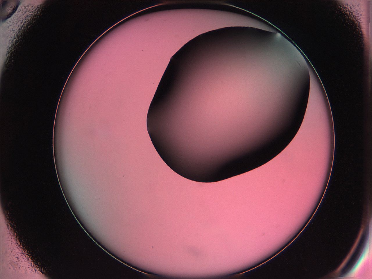 061o_C5_ImagerDefaults_0.jpg