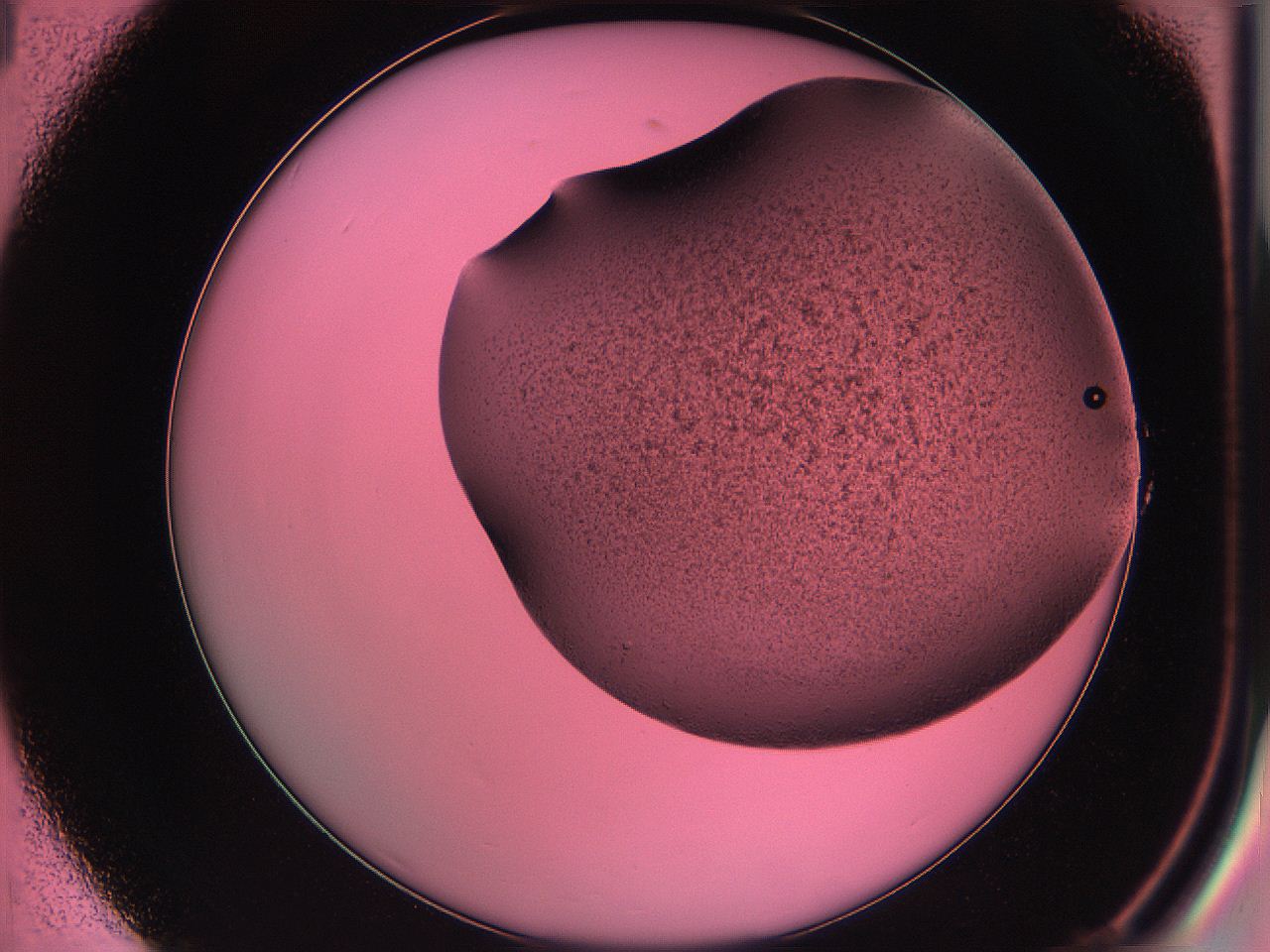 061o_A1_ImagerDefaults_3.jpg