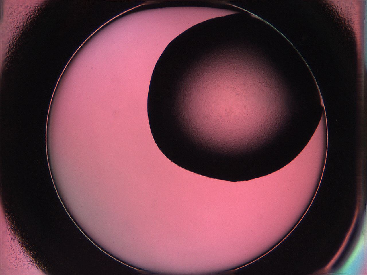 061o_D1_ImagerDefaults_0.jpg