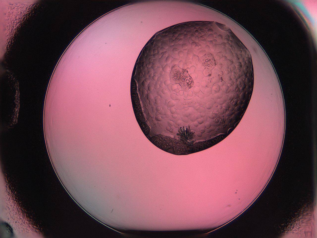 061o_D3_ImagerDefaults_5.jpg