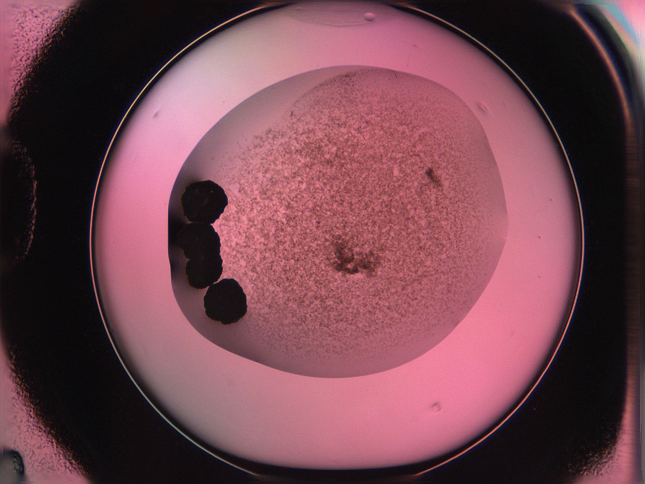 061o_D4_ImagerDefaults_3.jpg