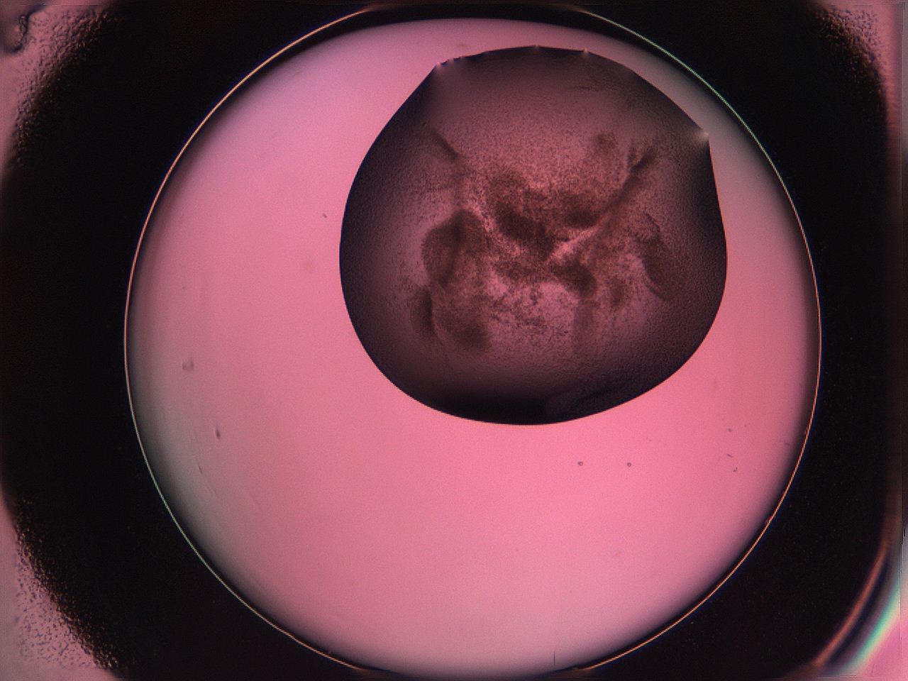 061o_C4_ImagerDefaults_3.jpg
