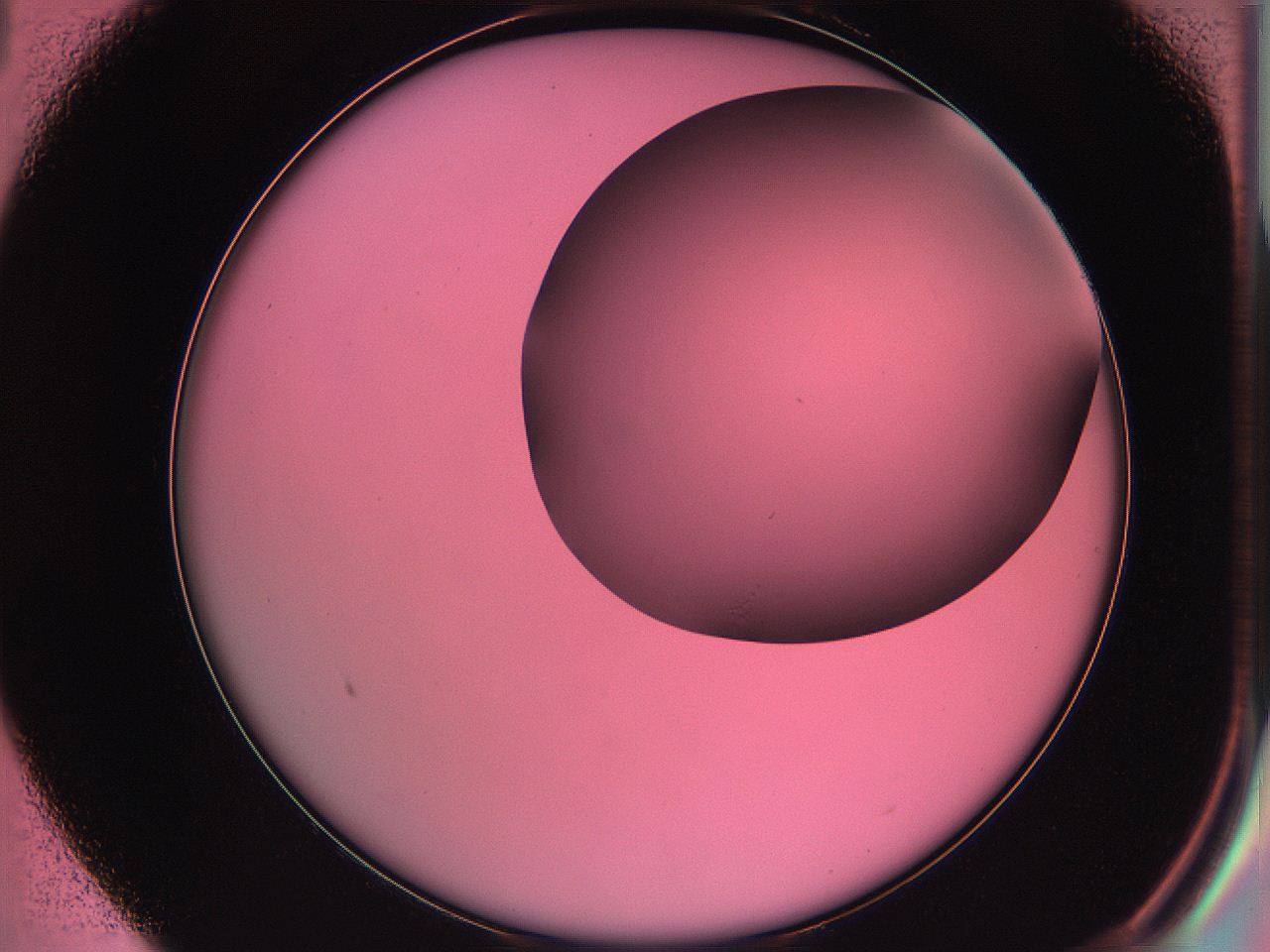 061o_B1_ImagerDefaults_0.jpg